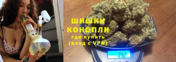 крисы Абдулино