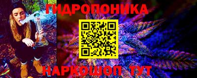 эйфоретик Ачхой-Мартан