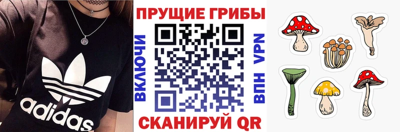наркошоп  Владикавказ  OMG зеркало  Галлюциногенные грибы Psilocybine cubensis 
